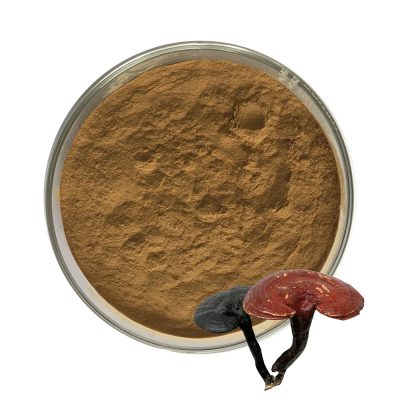 Get The Best Plant Extract From A Reliable Reishi Extract Supplier
